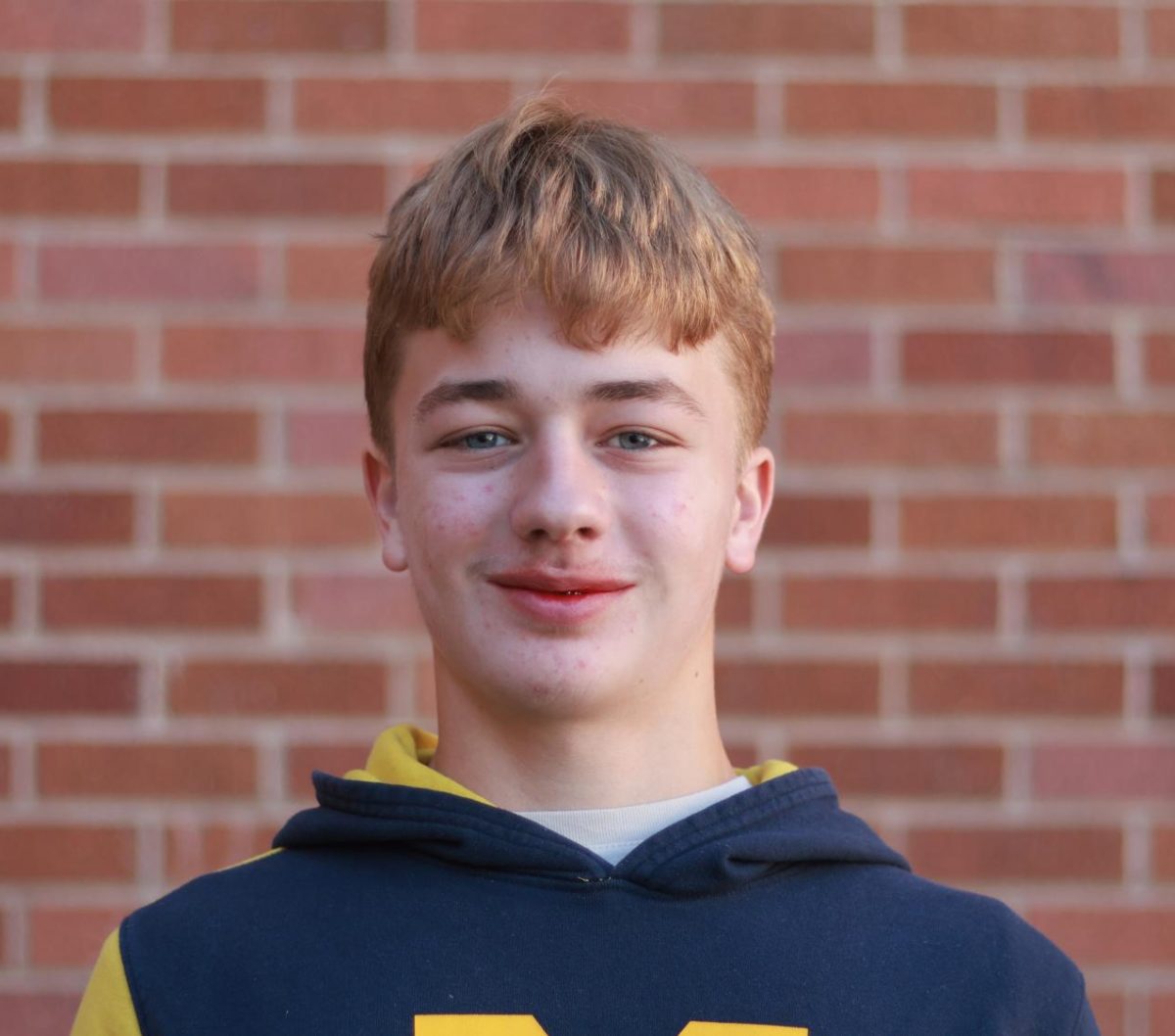 "It can be especially hard to pick between Advanced Placement classes, often called AP, and dual enrollment or concurrent enrollment classes. They both give college credit and are known for their rigor, but don't be confused as these two are very different and one is better than the other depending on goals."