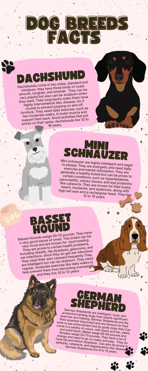 Infographic: Dog Breed Facts