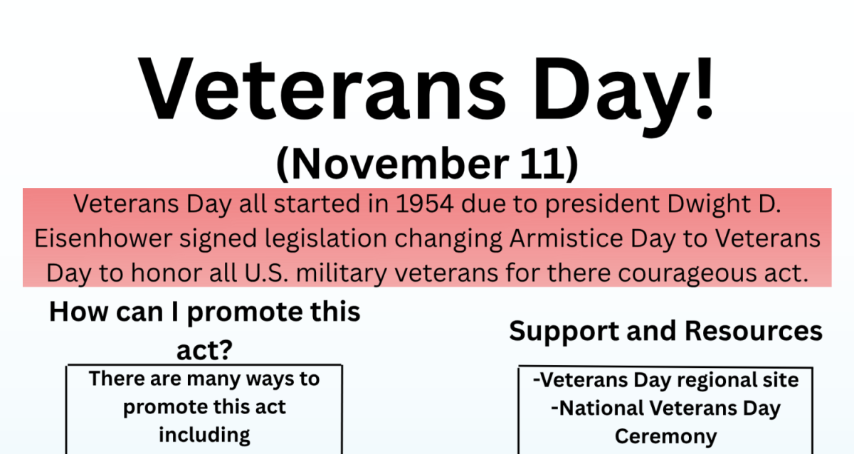 Infographic: Veteran's Day