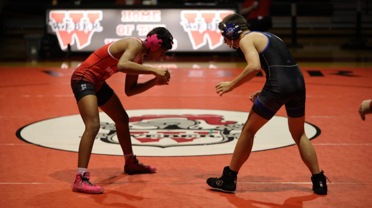 Photo Gallery: Wrestling Tournament 12/10