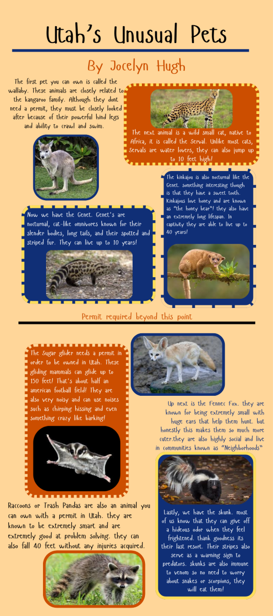 Infographic: Utah's Unusual Pets