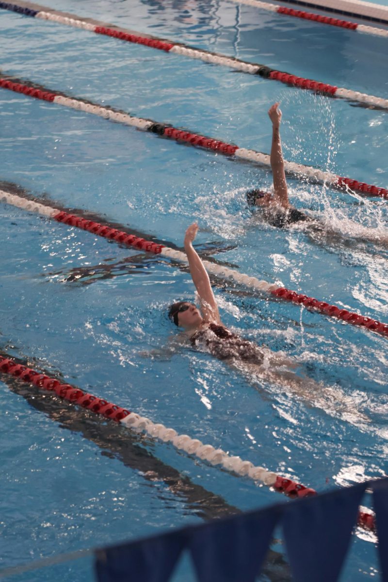 Photo Gallery: Swim Meet on 1/15