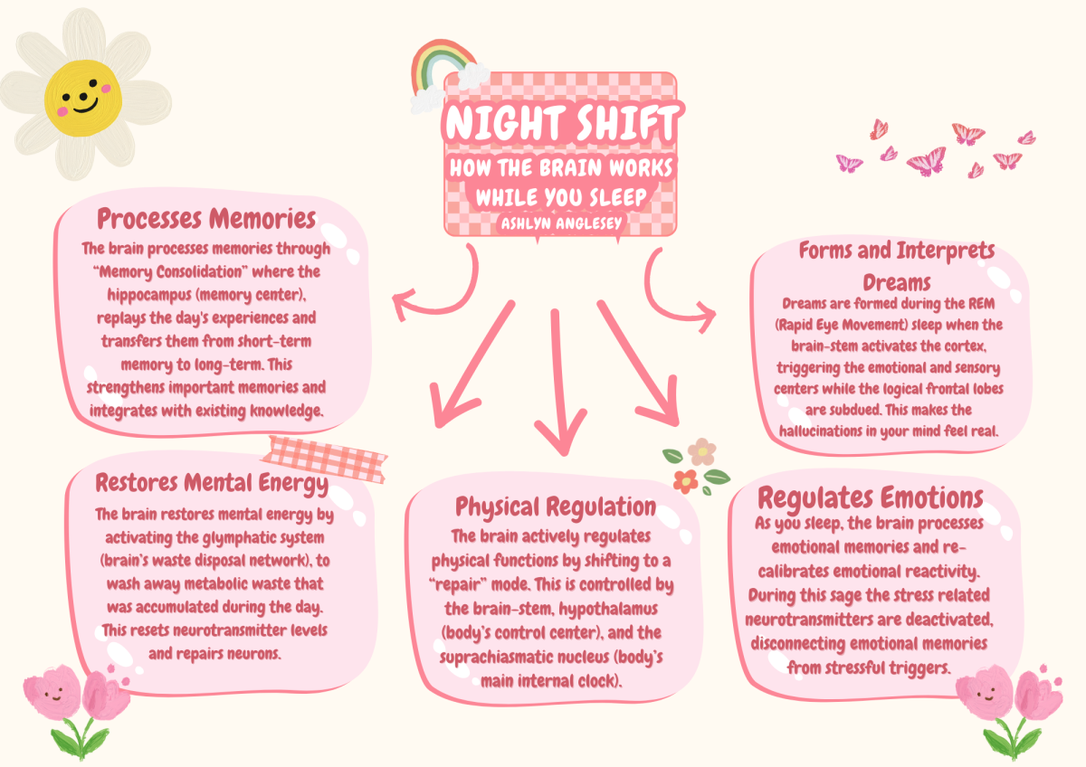 Infographic: How the brain works while you sleep