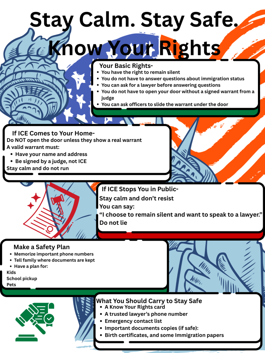 Infographic: Immigration