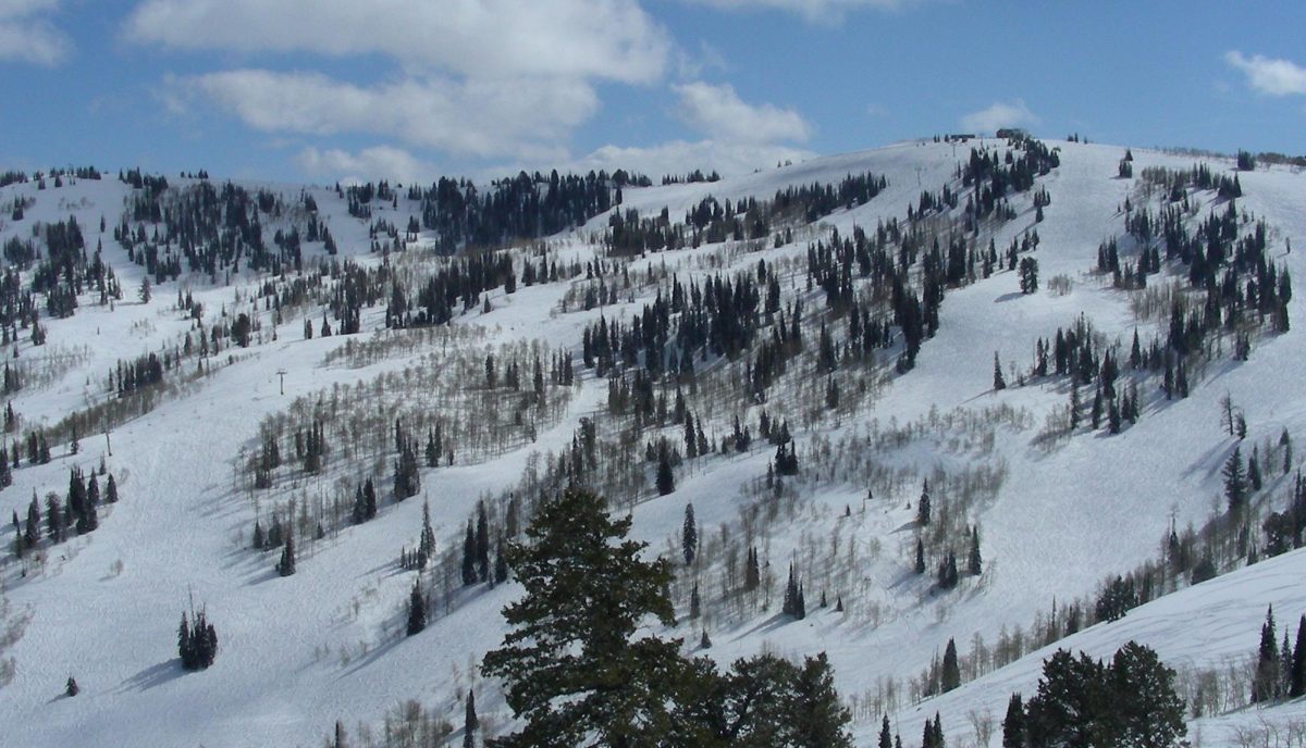 Source: Wikimedia Commons