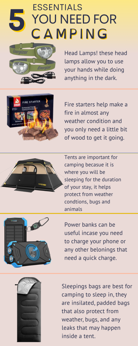Infographic: Camping Essentials